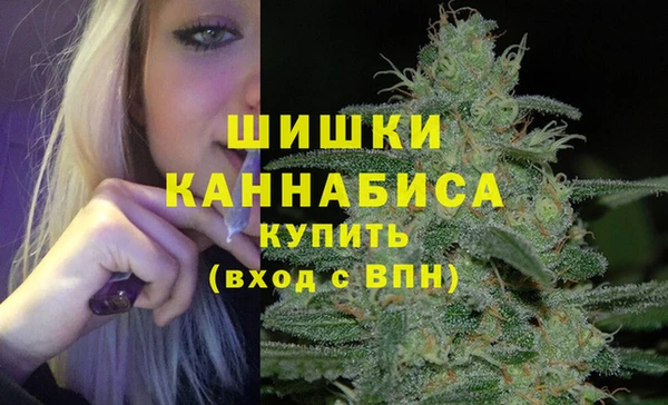 ГАЛЛЮЦИНОГЕННЫЕ ГРИБЫ Волосово