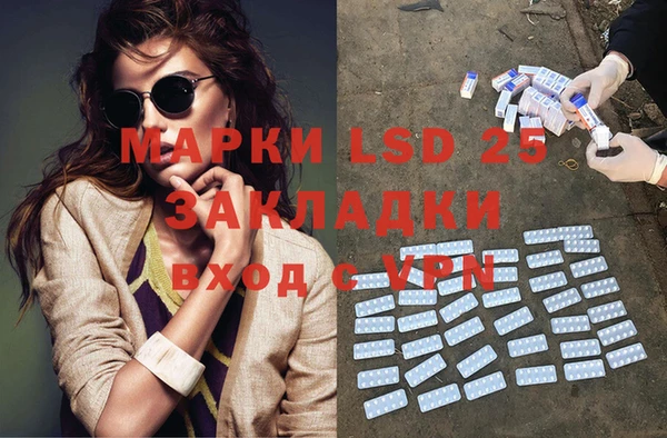 ГАЛЛЮЦИНОГЕННЫЕ ГРИБЫ Волосово