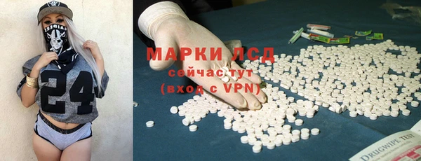 ГАЛЛЮЦИНОГЕННЫЕ ГРИБЫ Волосово