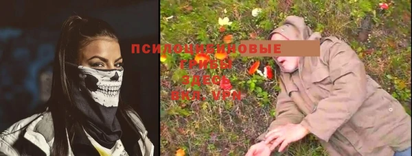 крисы Волоколамск