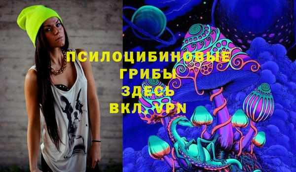 крисы Волоколамск