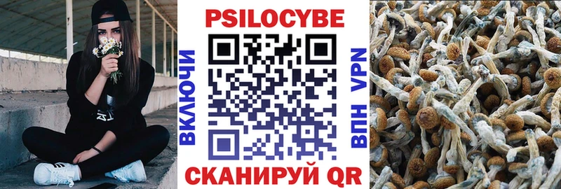 Псилоцибиновые грибы Psilocybe  наркота  Отрадная 